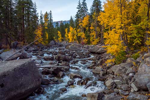 Icicle River Washington State