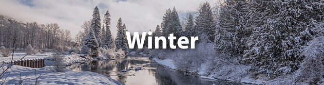 Wenatchee Weather Winter