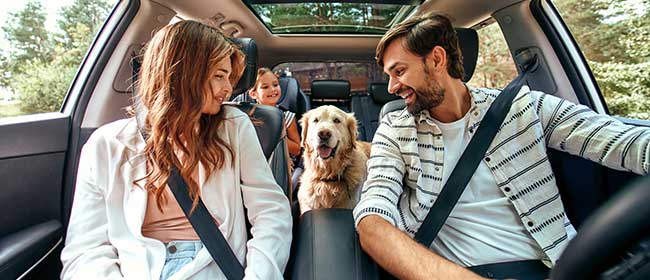 family driving down the road with their dog